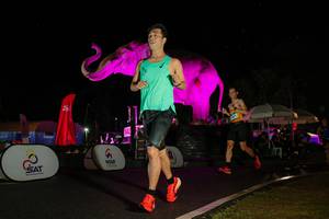 BIB: 
                            <button type="button" onclick="openModal(26543658)" class="btn btn-primary btn-sm float-right btn-popup" data-toggle="modal" data-target=".modal-high-quality">
                        <i class="fas fa-shopping-cart"></i> Add to Cart
                    </button>
                                            <button type="button" onclick="isThisMe(26543658, true)" class="btn btn-success btn-sm float-right btn-popup btn-isme hidden" data-toggle="tooltip" data-placement="bottom" title="นี่คือรูปของคุณใช่ไหม คลิกที่นี่เพื่อเอาเข้าอัลบั้ม">
                        <i class="fas fa-plus"></i> Add to album
                    </button>
                    <button type="button" onclick="isThisMe(26543658, false)" class="btn btn-warning btn-sm float-right btn-popup btn-isnotme hidden">
                        <i class="fas fa-ban"></i> Remove from album
                    </button>